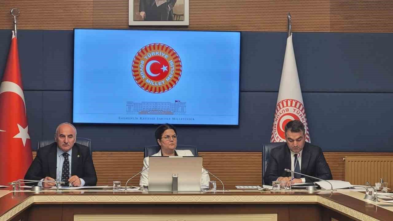 TBMM İnsan Haklarını İnceleme Komisyonu, alt komisyonların kurulması amacıyla toplandı