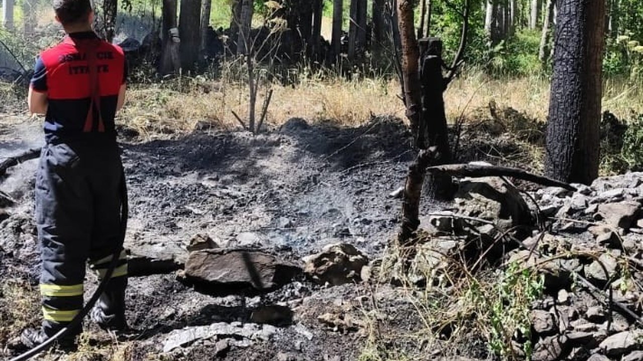Ağaçlık alandaki örtü yangını söndürüldü