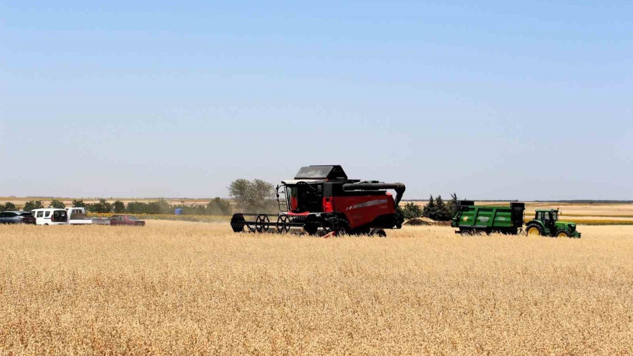 Kırklareli’nde yerli milli 3 yulaf çeşidi hasat edildi