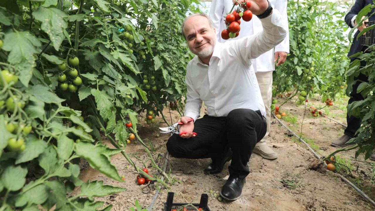 Üreten üniversite NÖHÜ, tarım faaliyetlerine devam ediyor