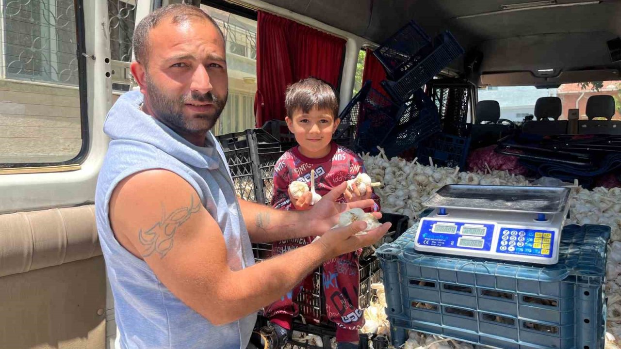 Ekmek parasını kazanmak için binlerce kilometre yol gezdiler