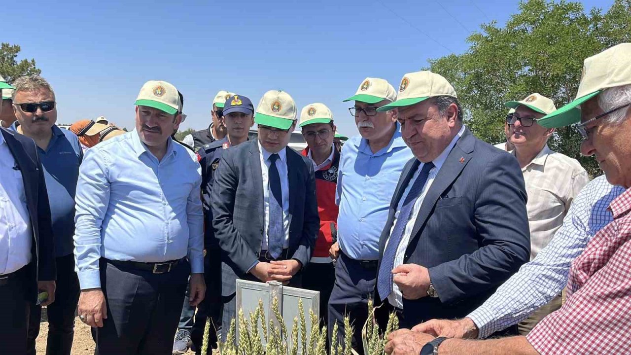 Türkiye’de hububatta toprağa düşen her dört tohumdan birini TİGEM üretiyor