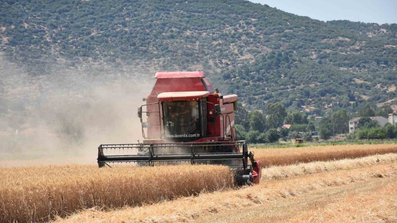 Çiftçilerden hayvan üreticilerine kritik uyarı: "Elinizi Çabuk Tutun"