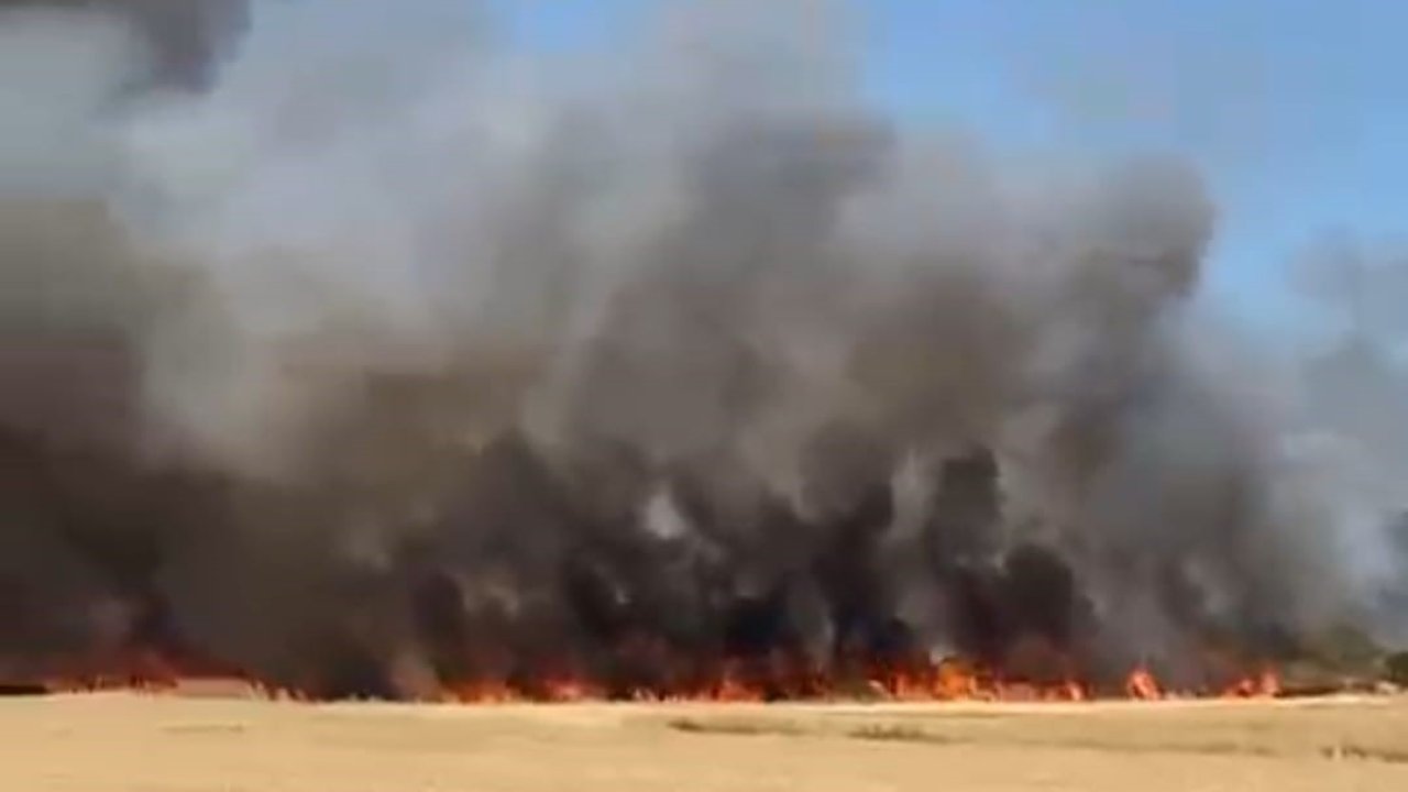 Biga’da tarım arazisinde yangın çıktı