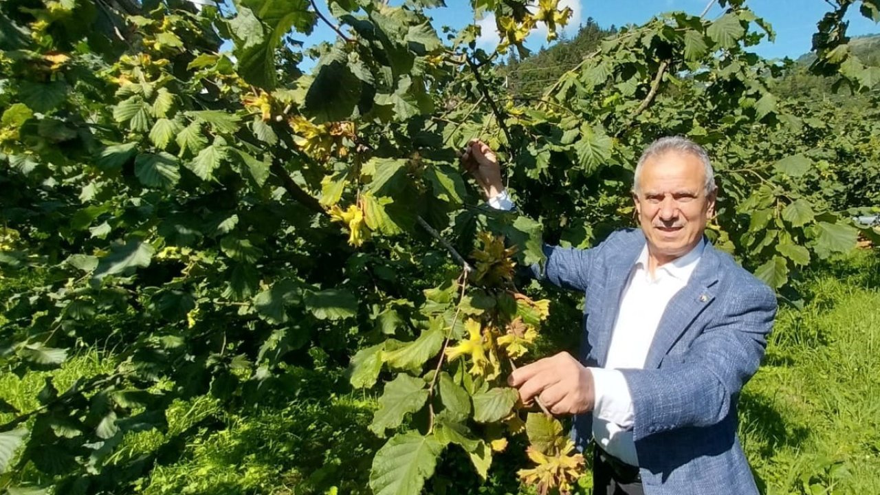 Trabzon Ticaret Borsası Başkanı Ergan: