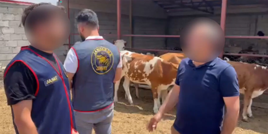 Hayvan hırsızlığı olayı aydınlatıldı