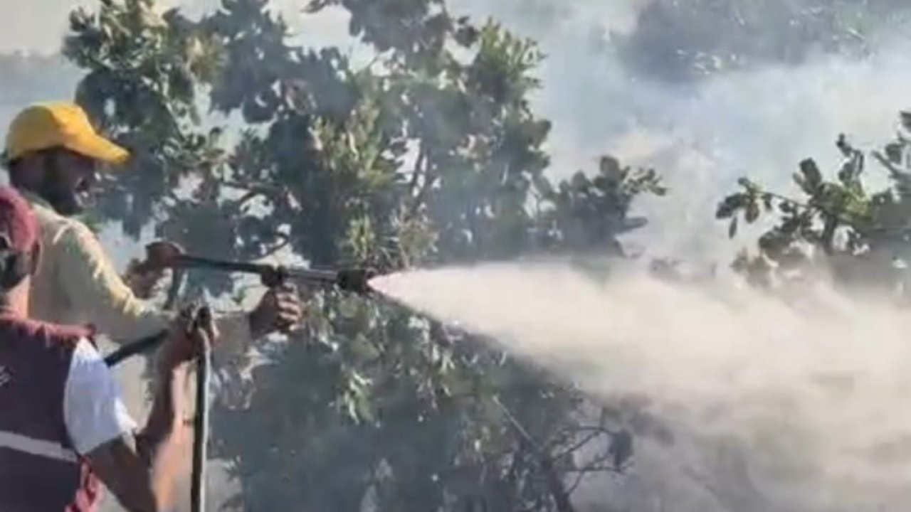 Siirt’te çıkan örtü yangını söndürüldü