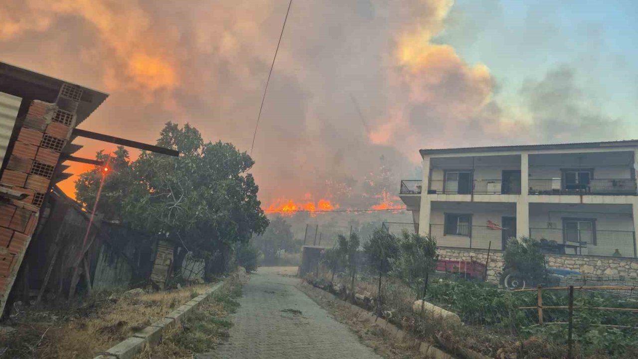 İzmir’de orman yangını kontrol altında