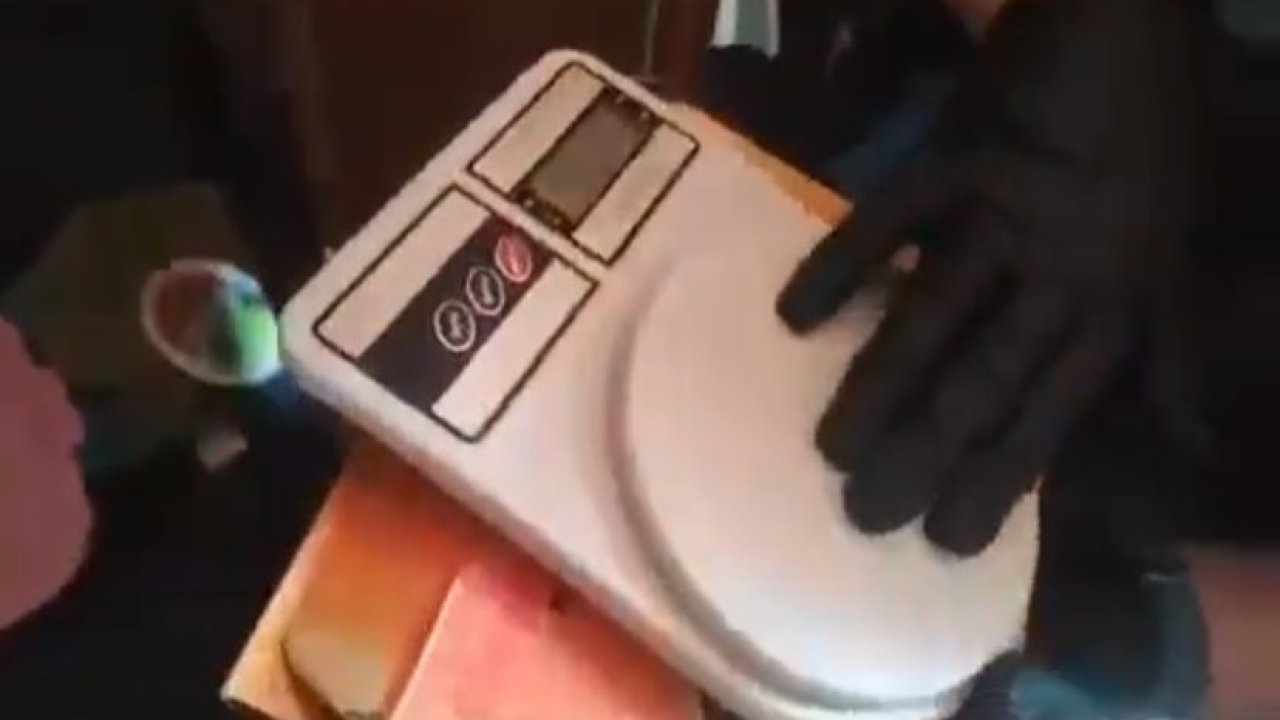 Evinin bahçesinde 290 kök kenevir yetiştiren tacir tutuklandı