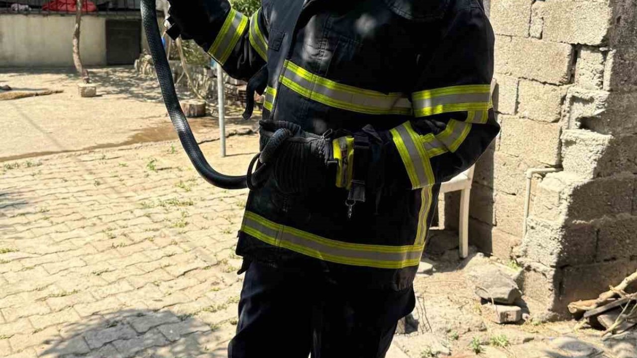 Payas’ta eve giren yılanı itfaiye yakaladı