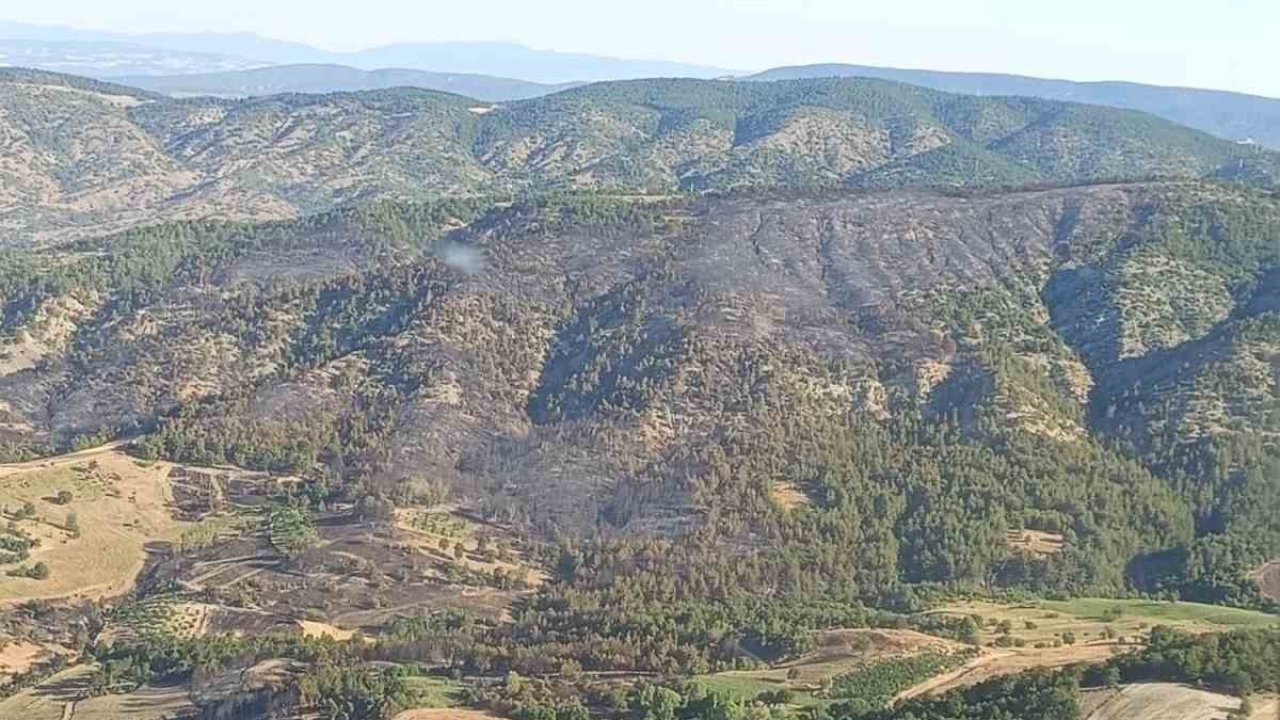 Bilecik’te dün çıkan orman yangını kontrol altına alındı