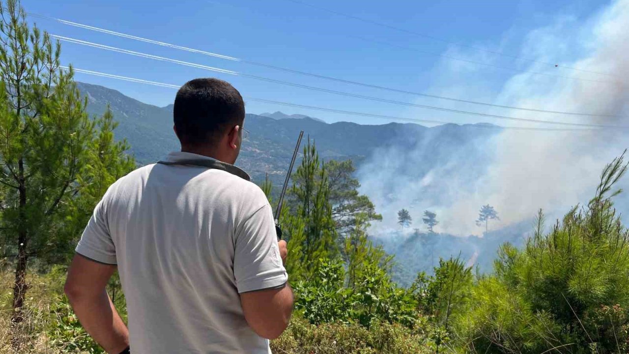 Alanya’daki yangınını kontrol altına alınması çalışmaları devam ediyor