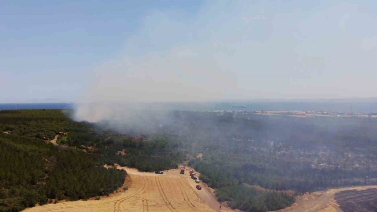 Tekirdağı’nda ormanlık alanda yangına müdahale sürüyor