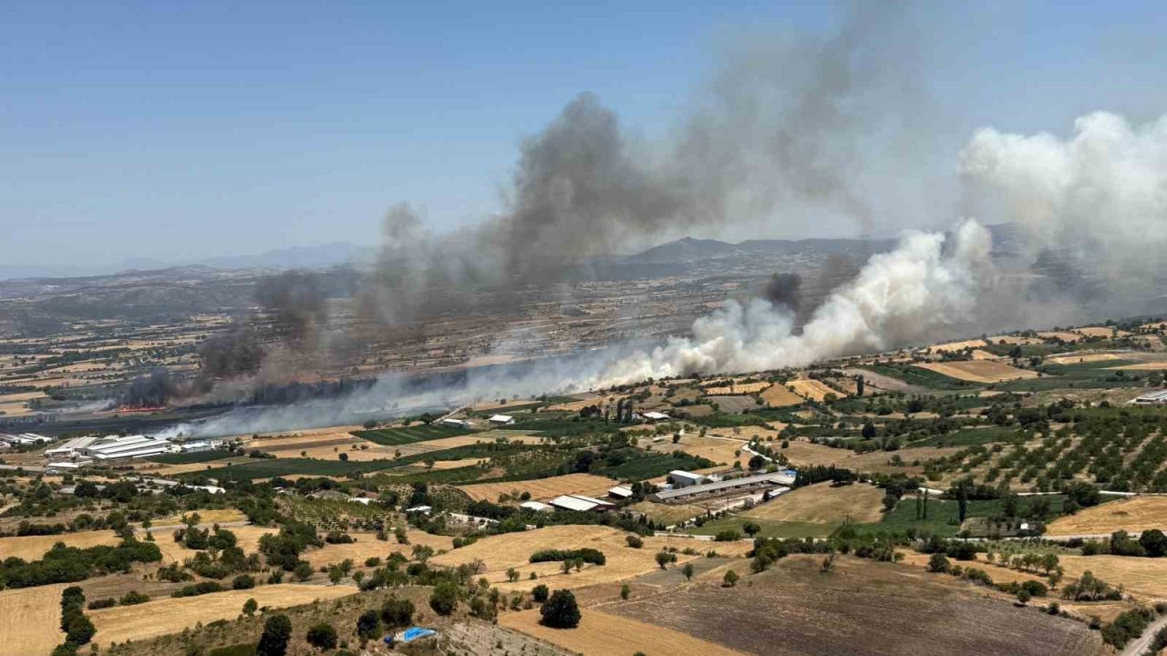 Balıkesir Pamukçu’da arazi yangını