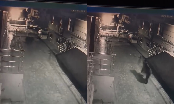 Sarıkamış’ta Gece Saatlerinde Ayı Paniği