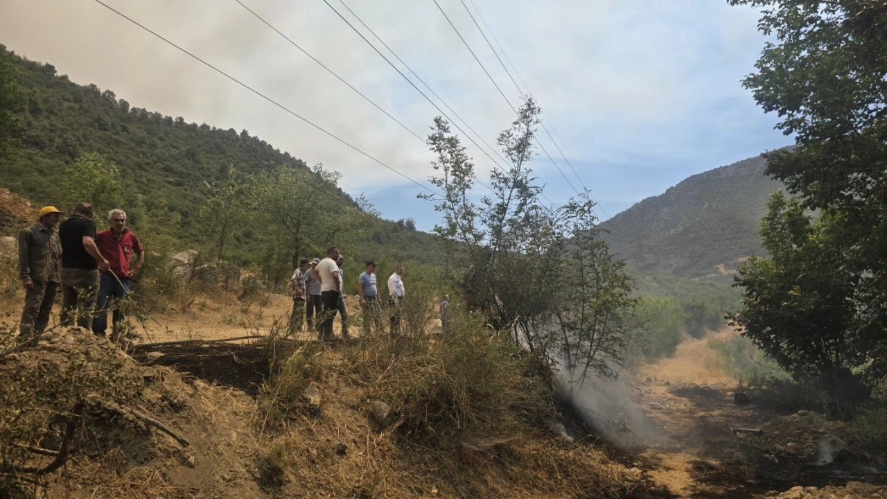 Makilik alanda korkutan yangın