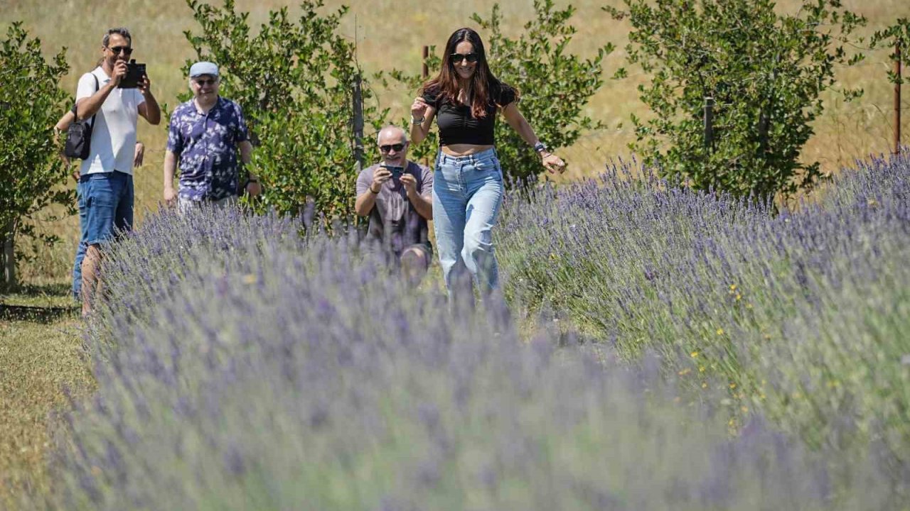 Doktorun tıbbi aromatik bahçesine yoğun ilgi