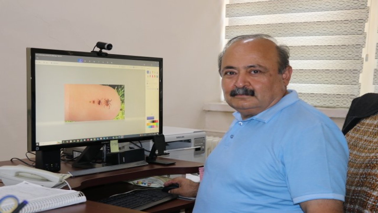 Sıcak hava keneleri harekete geçirdi: 1 kene, 10 bine yakın yumurta bırakabiliyor