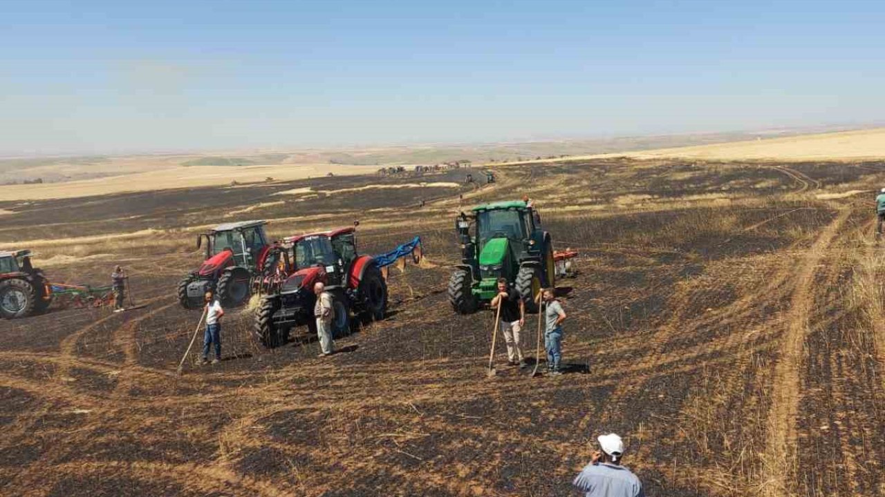 Yozgat’ta 100 dönüm ekili alan kül oldu