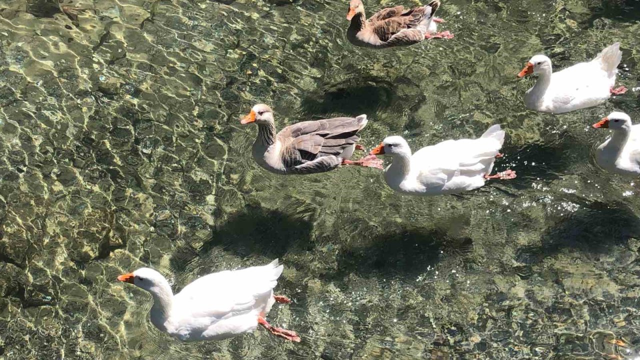 İnönü Havacılık Eğitim Merkezi’ndeki doğal güzellik