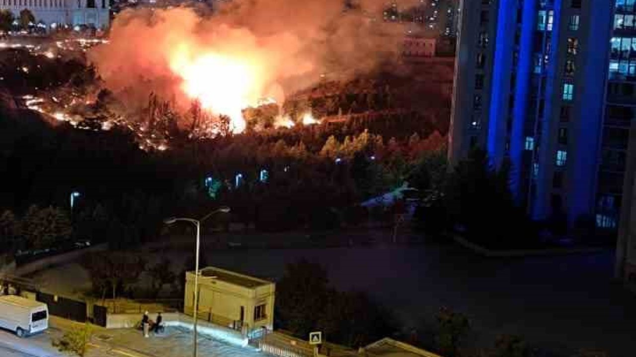 Ankara’daki arazi yangını söndürüldü