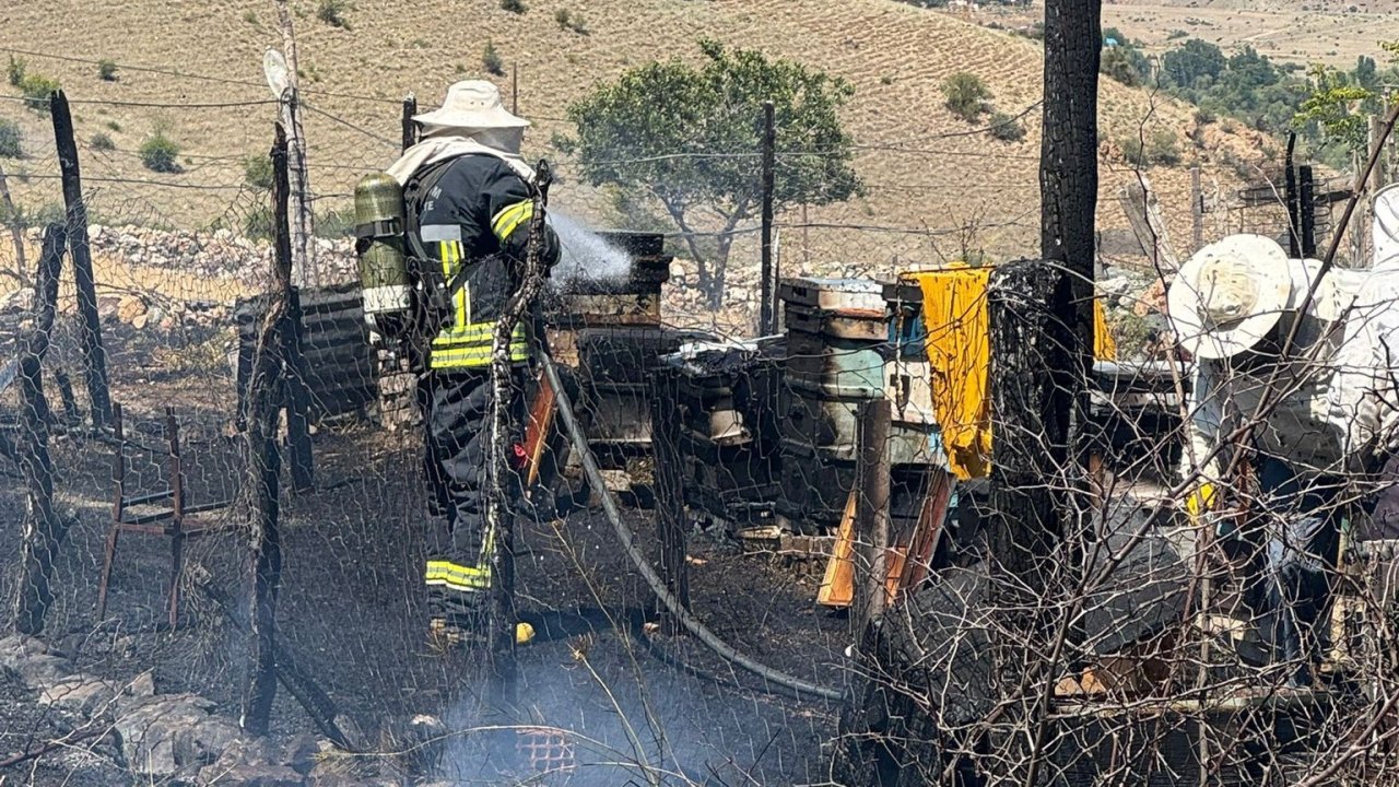 Arı kovanları yandı