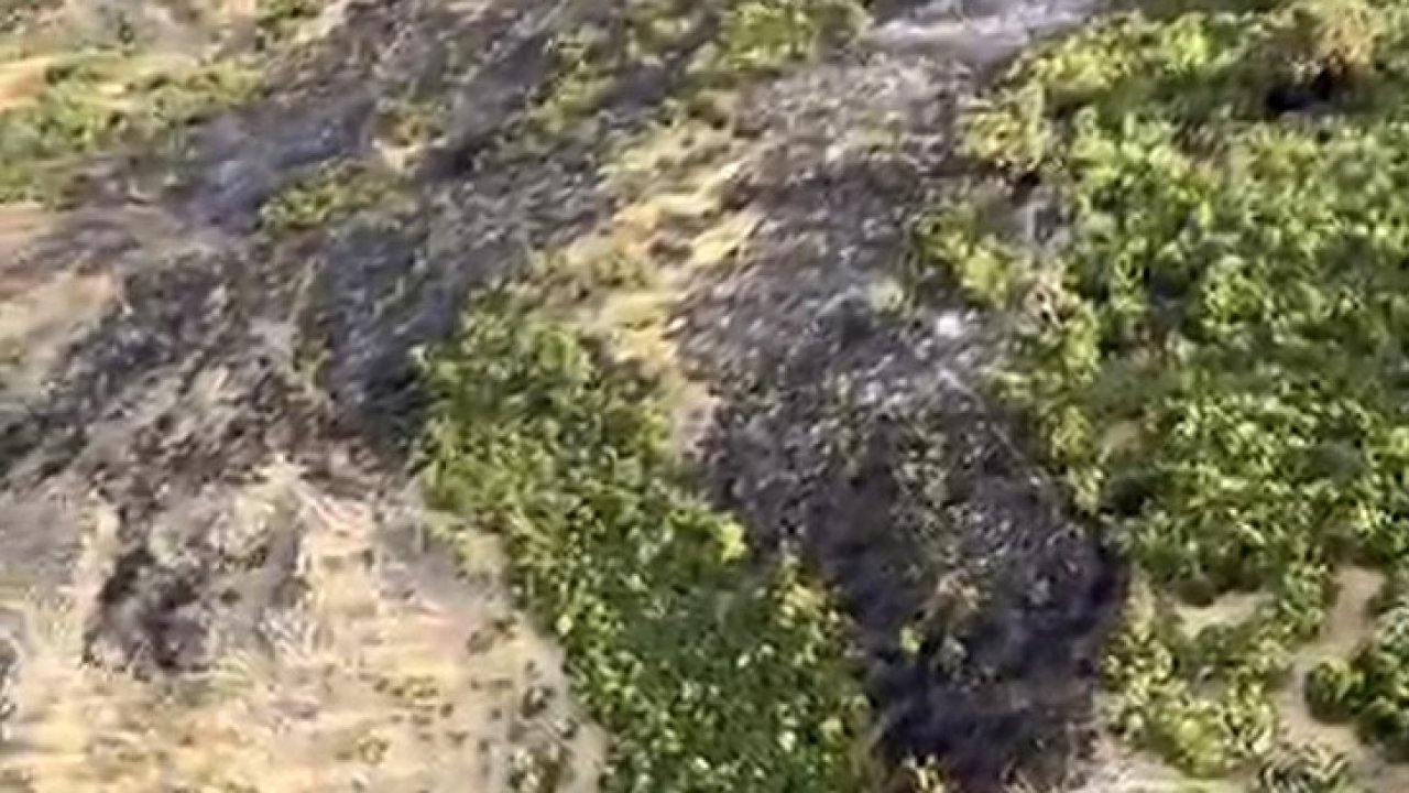 Kepsut’taki yangınla mücadele sürüyor