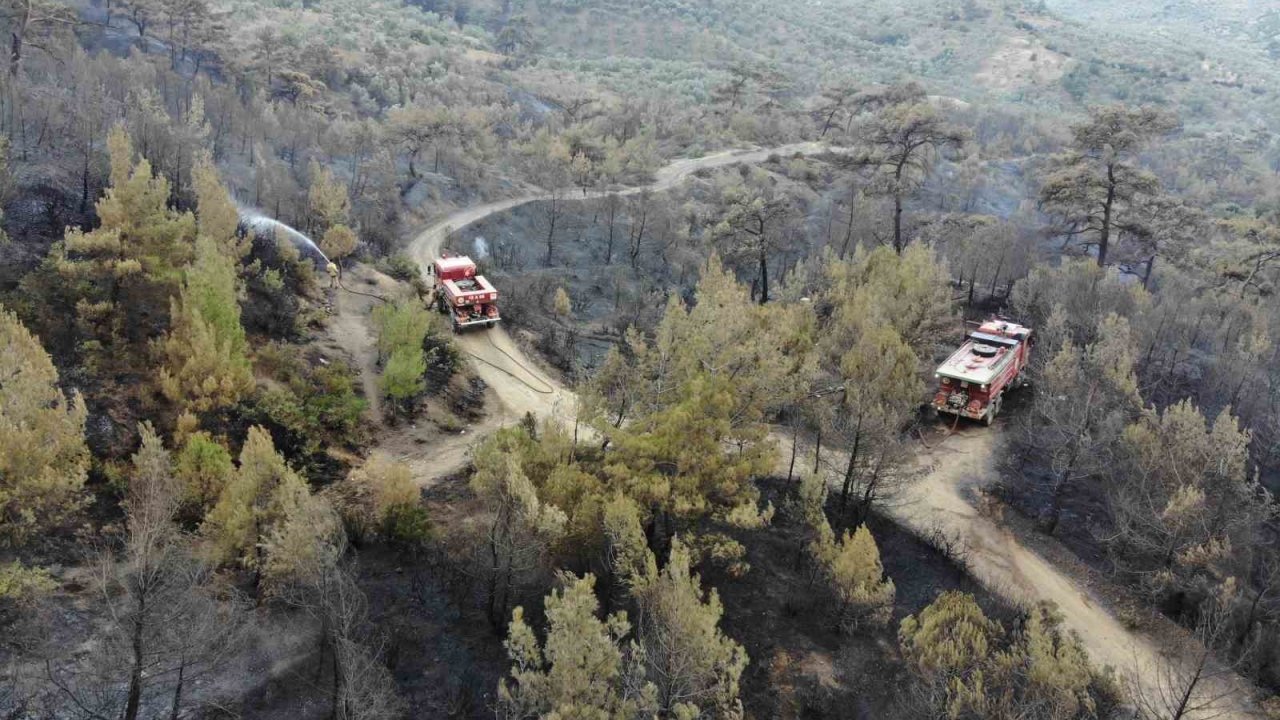 Balıkesir Havran’daki yangında havadan müdahale sabahın ilk ışıklarıyla tekrar başladı