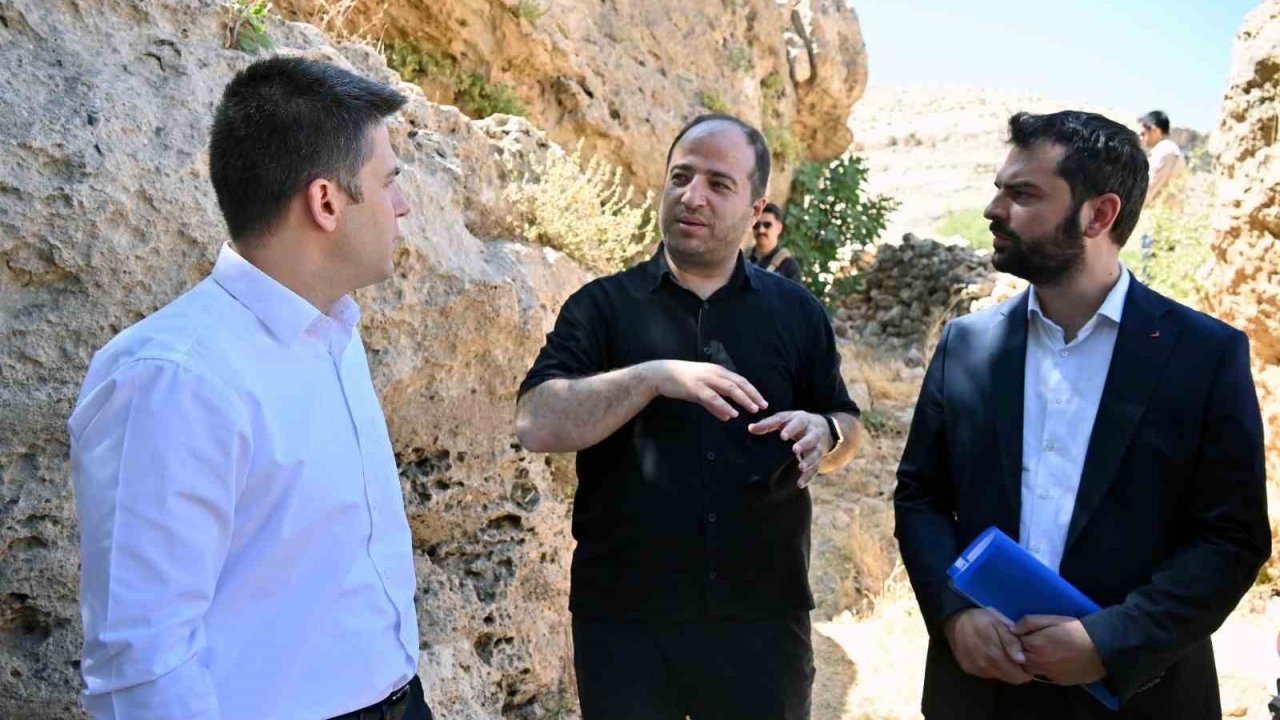 Derik Kaymakamı Bayraklı, zeytinliklerde yürütülen sulama çalışmalarını inceledi