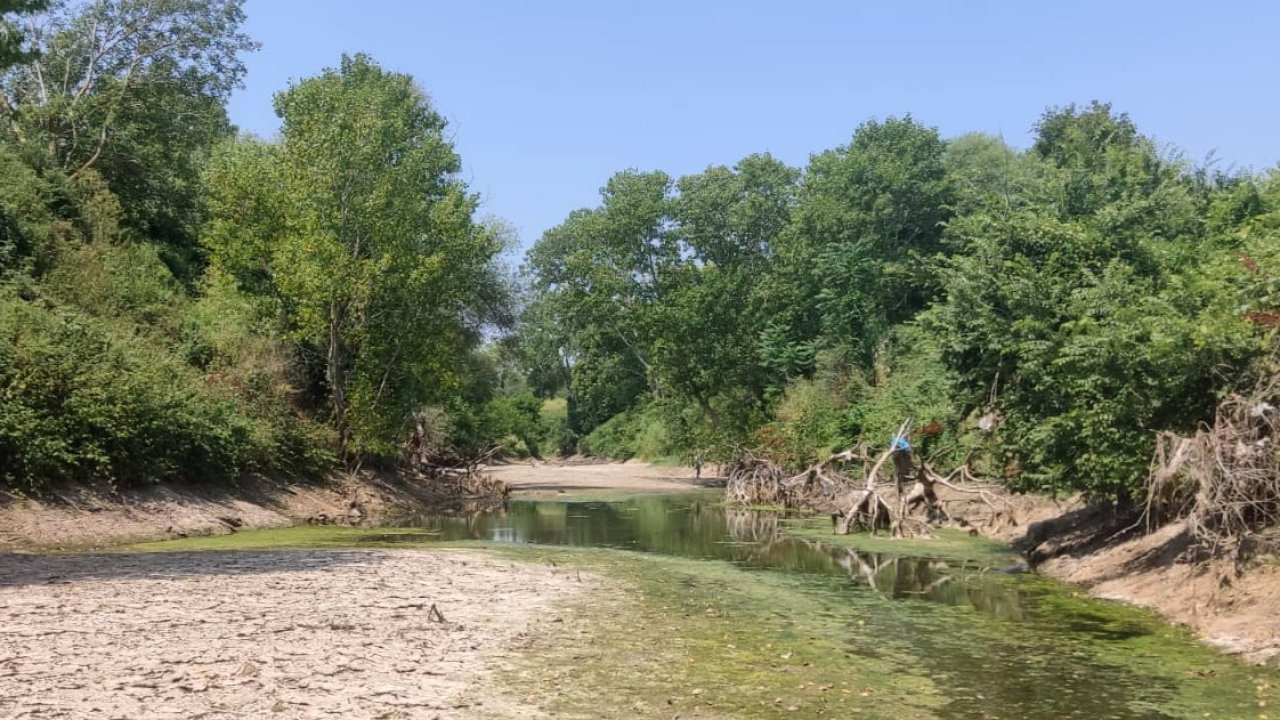 Çanakkale’de kuraklık çayı vurdu, çok sayıda balık öldü