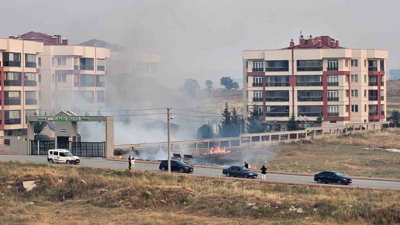 Çöpe atılan sigara izmariti nedeniyle yangın çıktı