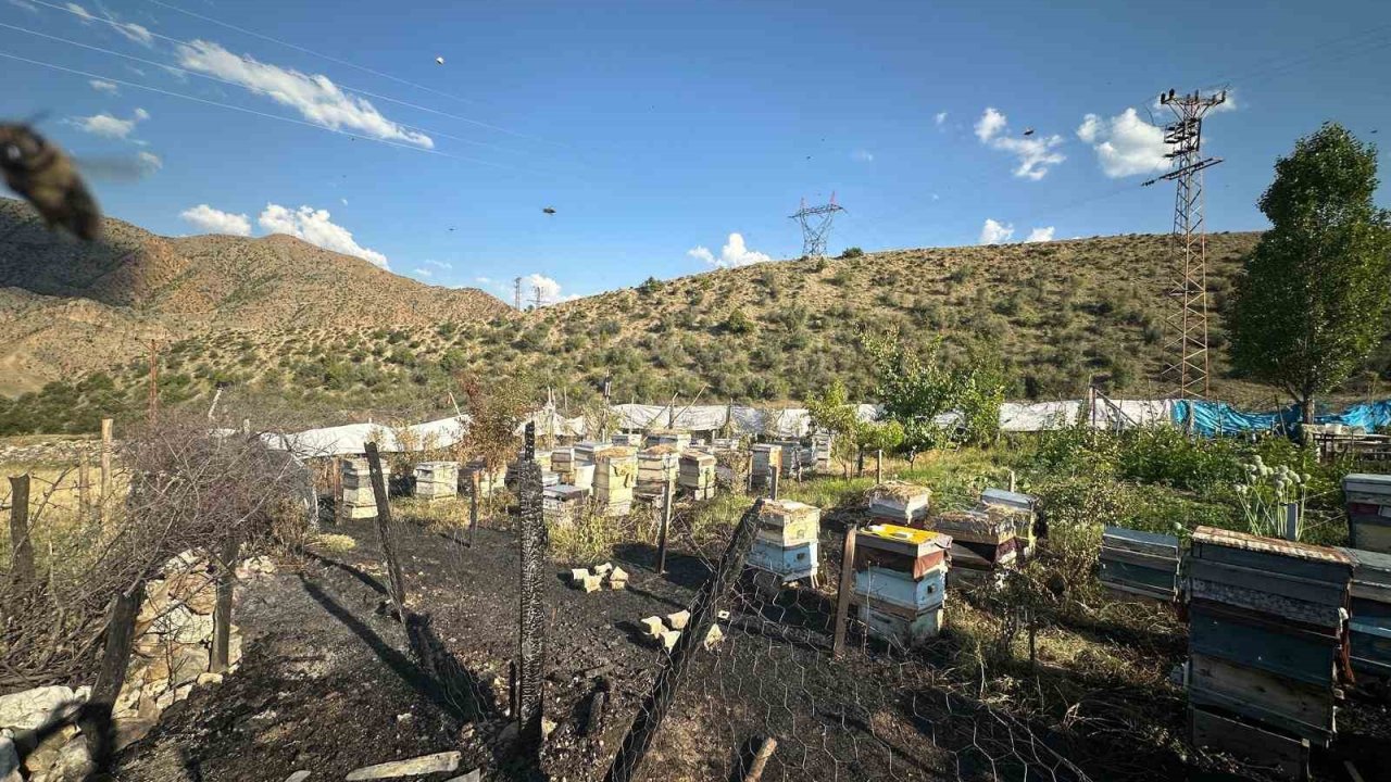 Oltu’da yangın faciası: 30 arı kovanı telef oldu