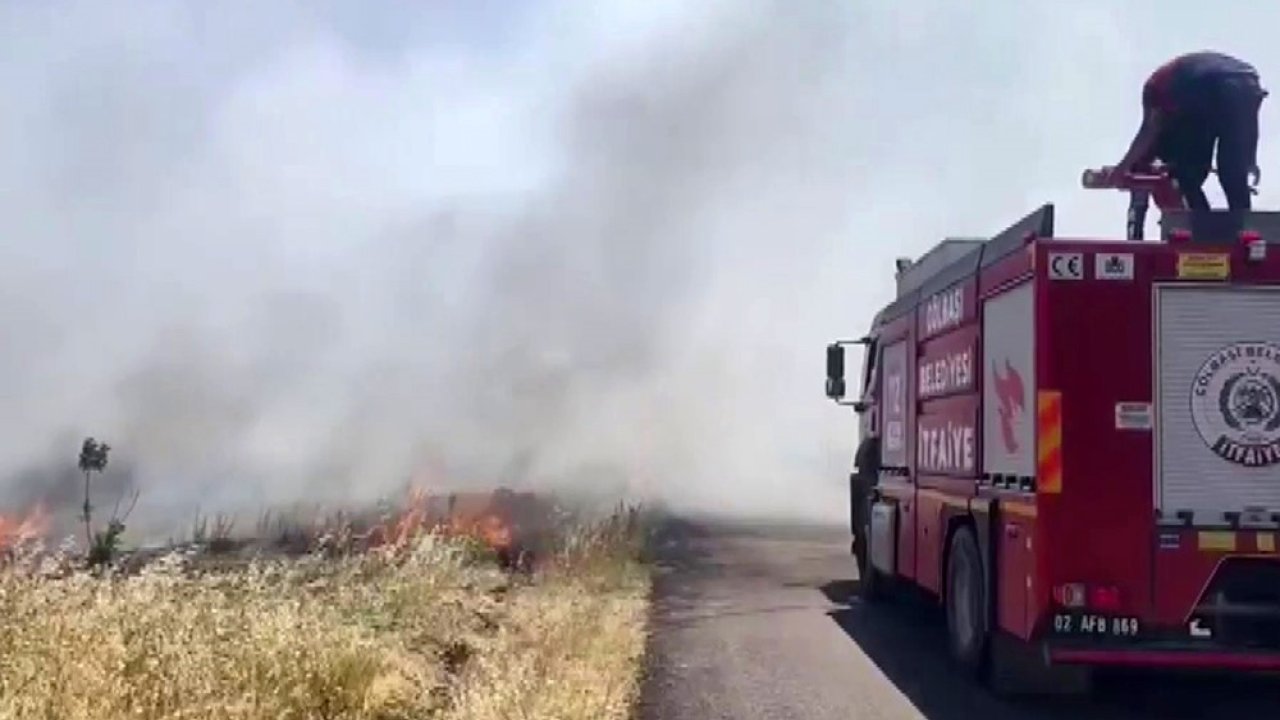 Anız yangını ormanlık alana sıçradı