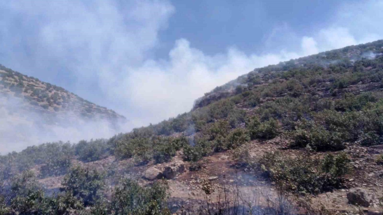 Mardin’de ormanlık alanda çıkan yangına müdahale sürüyor