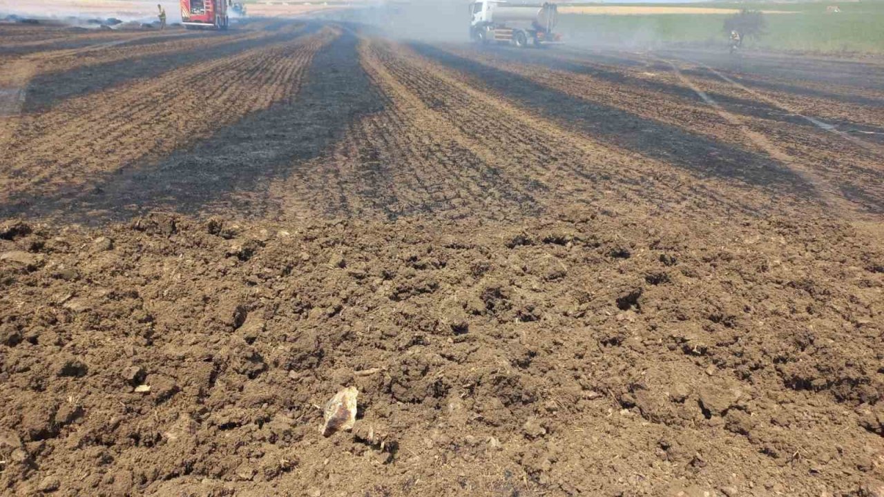 Bandırma Kayacık kırsalında anız ve ekili alan yangını korkuttu