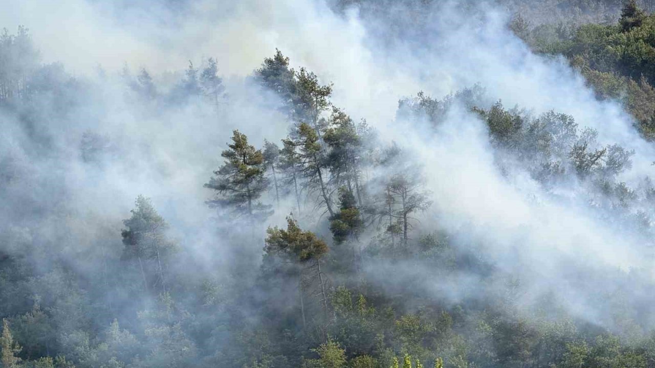 Sakarya’da ormanda yeniden yükselen alevlere havadan ve karadan müdahale edildi