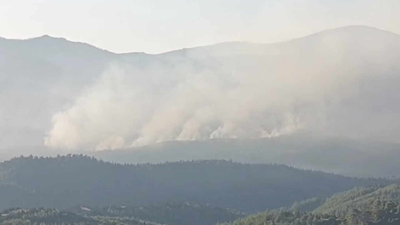 İzmir’de orman yangını sürüyor... Günün aydınlanmasıyla havadan müdahale yeniden başladı