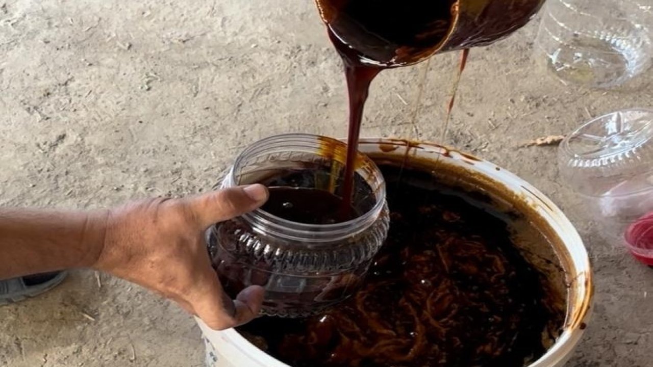 Tarım Müdürü Akar’dan kışa tatlı hazırlık