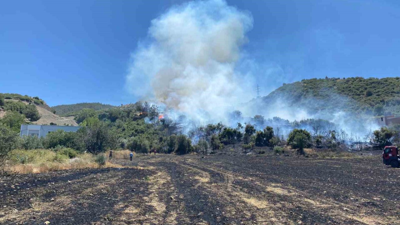 Osmaniye’deki anız yangını ormana sıçradı