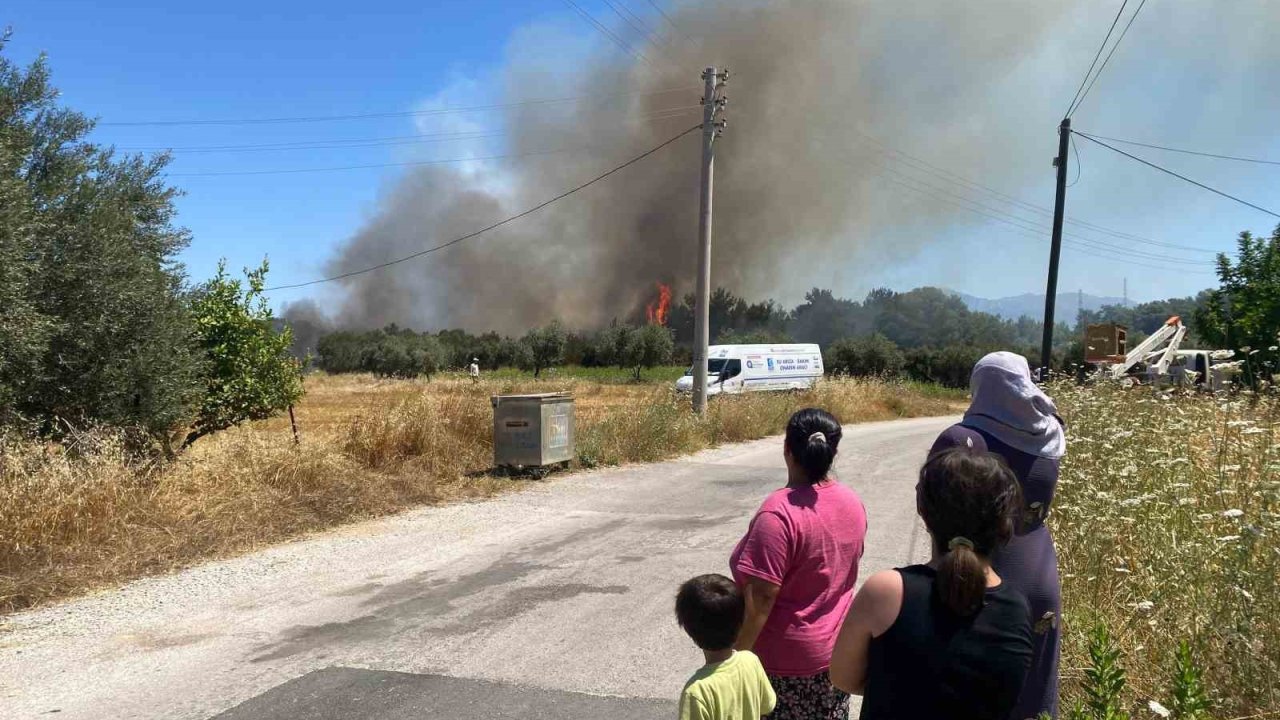 Antalya’da ormanlık alanda yangın