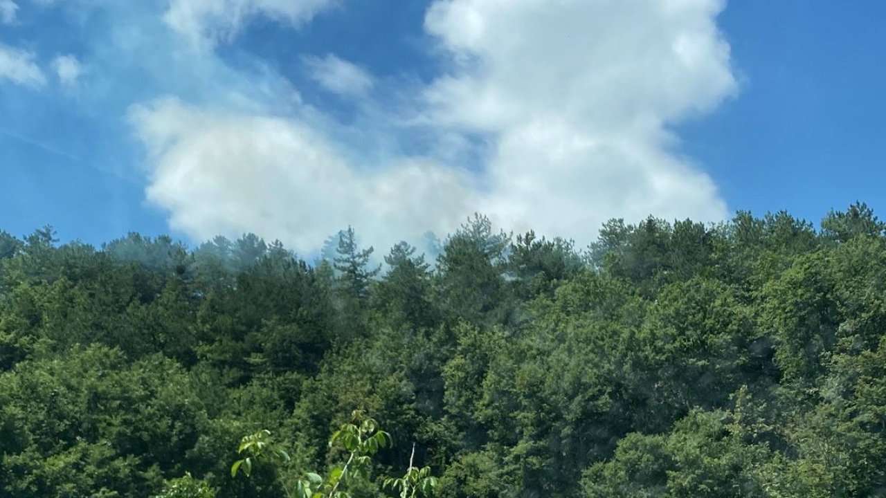 Gölpazarı’nda yangın bölgesinde alevler yeniden yükseldi, ekipler harekete geçti