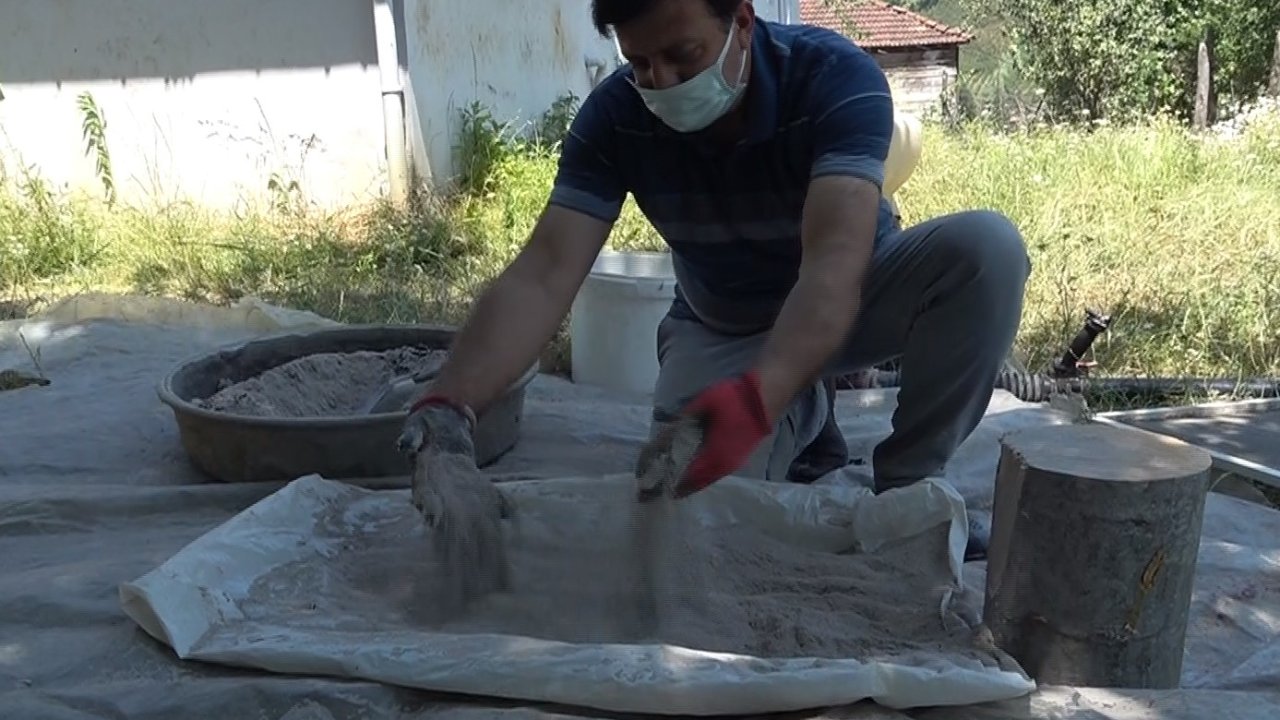 Kimyasal yerine odun külü: "Kokarcaya karşı külle savaşıyorum"