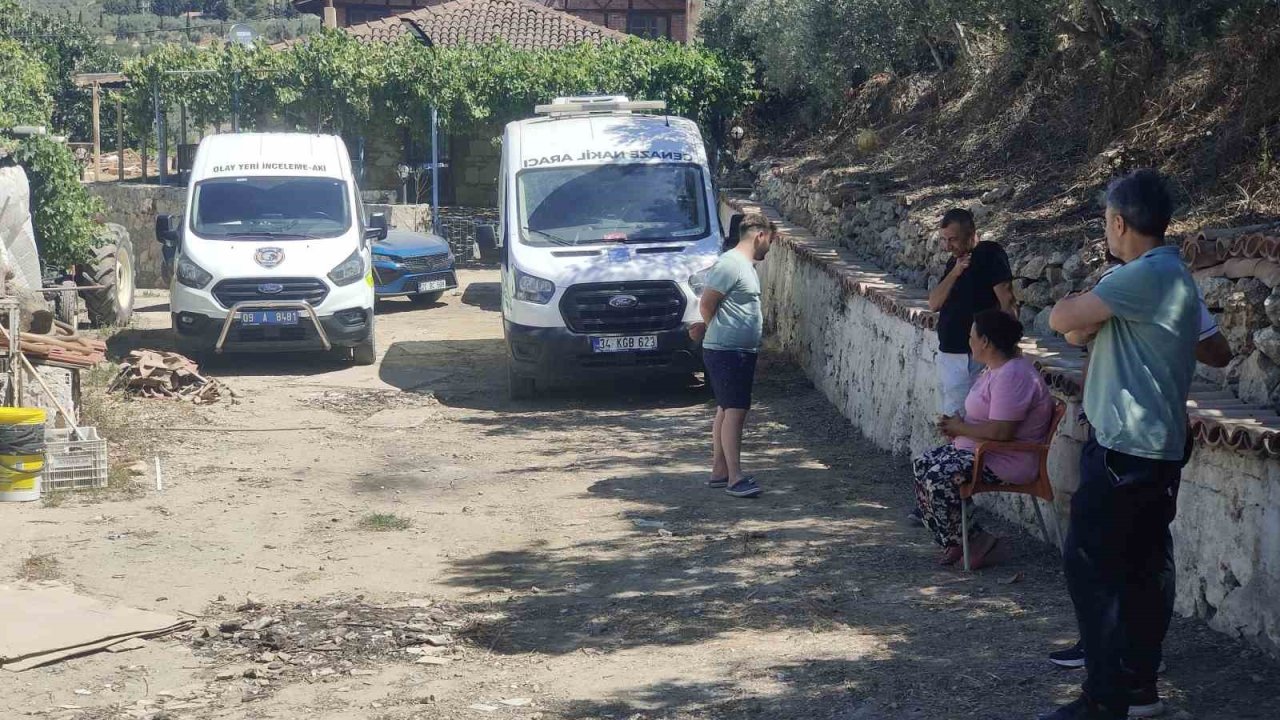 Mandalina bahçesinde ölü olarak bulundu