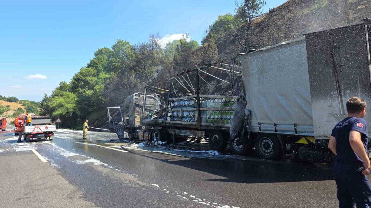 Motor yağı yüklü tır alev alev yandı, ormana sıçrayan yangın güçlükle söndürüldü