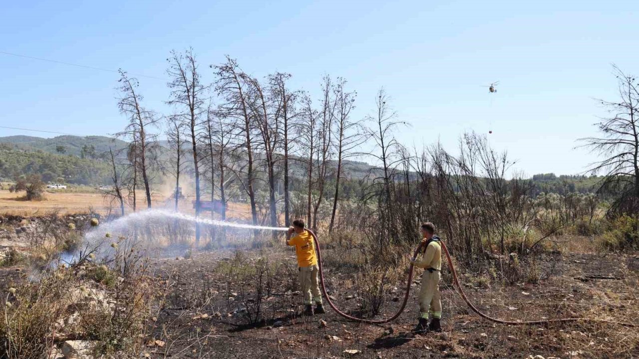 Alevler ormana sıçramadan söndürüldü