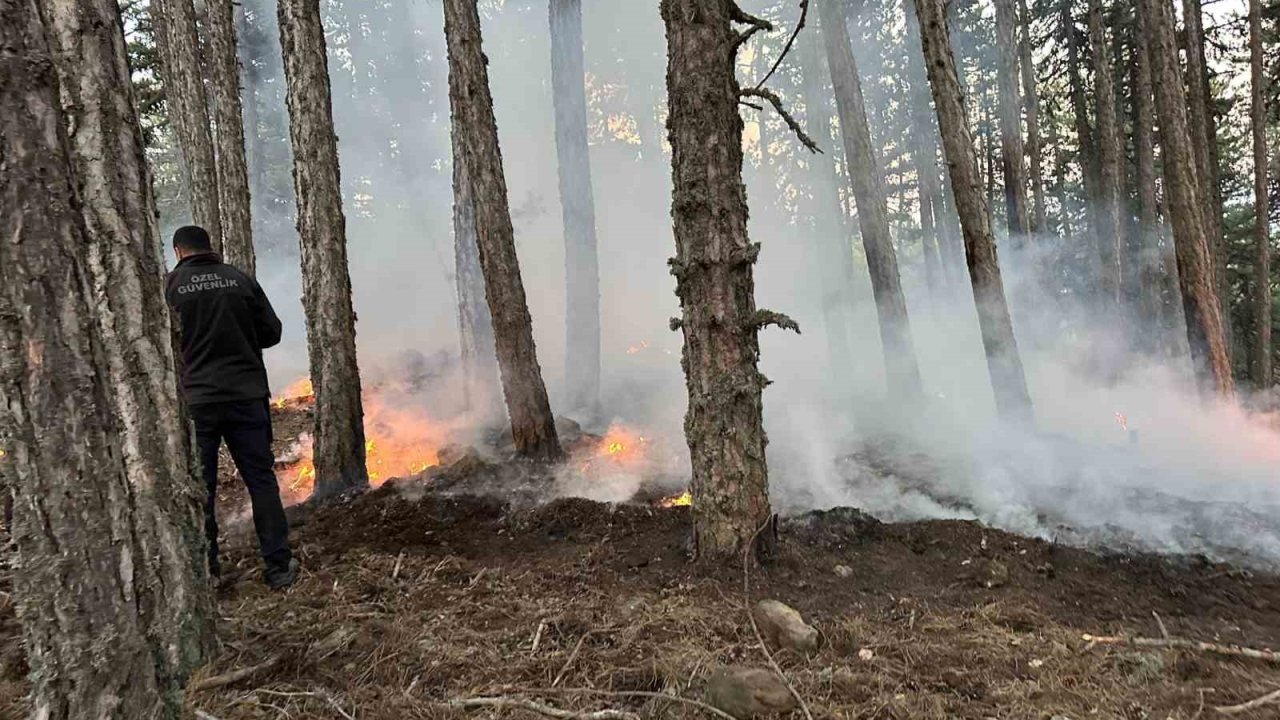 Kızılcahamam Soğuksu Milli Parkı’nda piknikçi ateşinden yangın çıktı