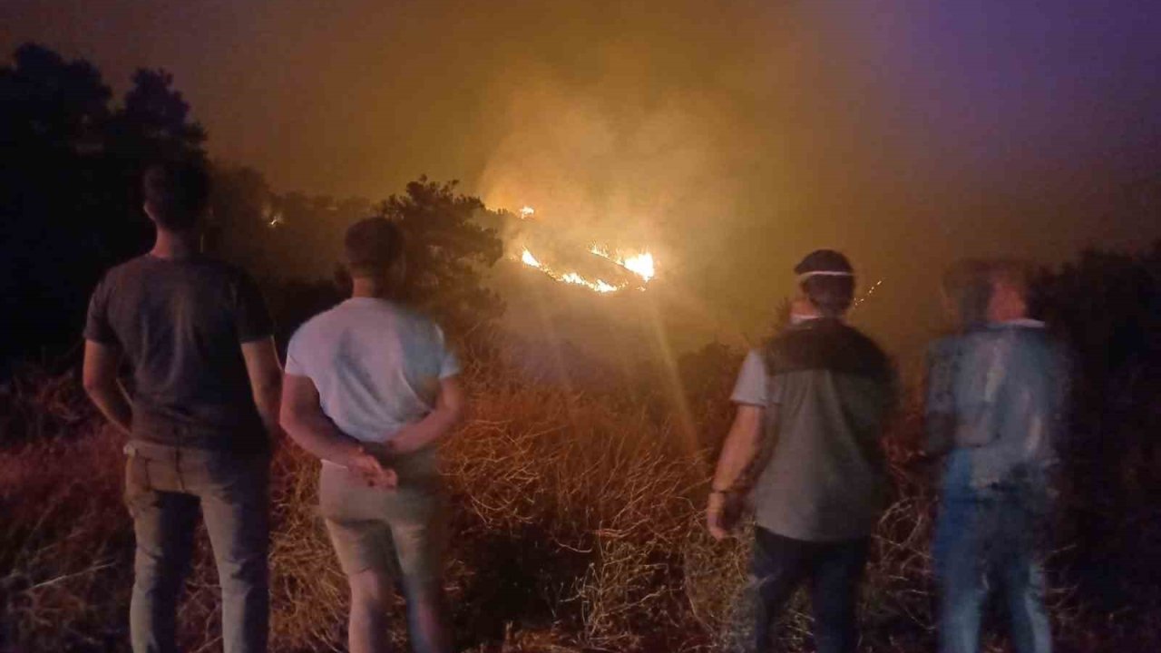 Ahmetli’de çıkan orman yangını Salihli’ye ulaştı