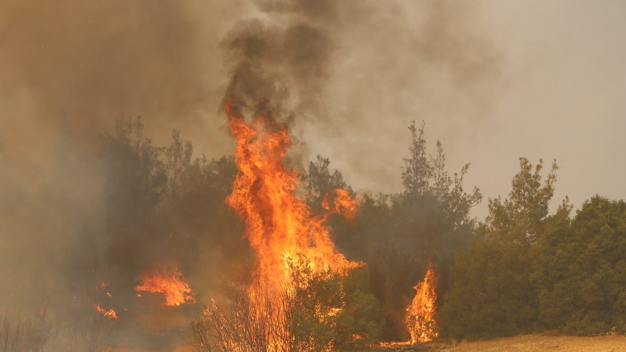 Kula’da orman yangınına müdahale sürüyor