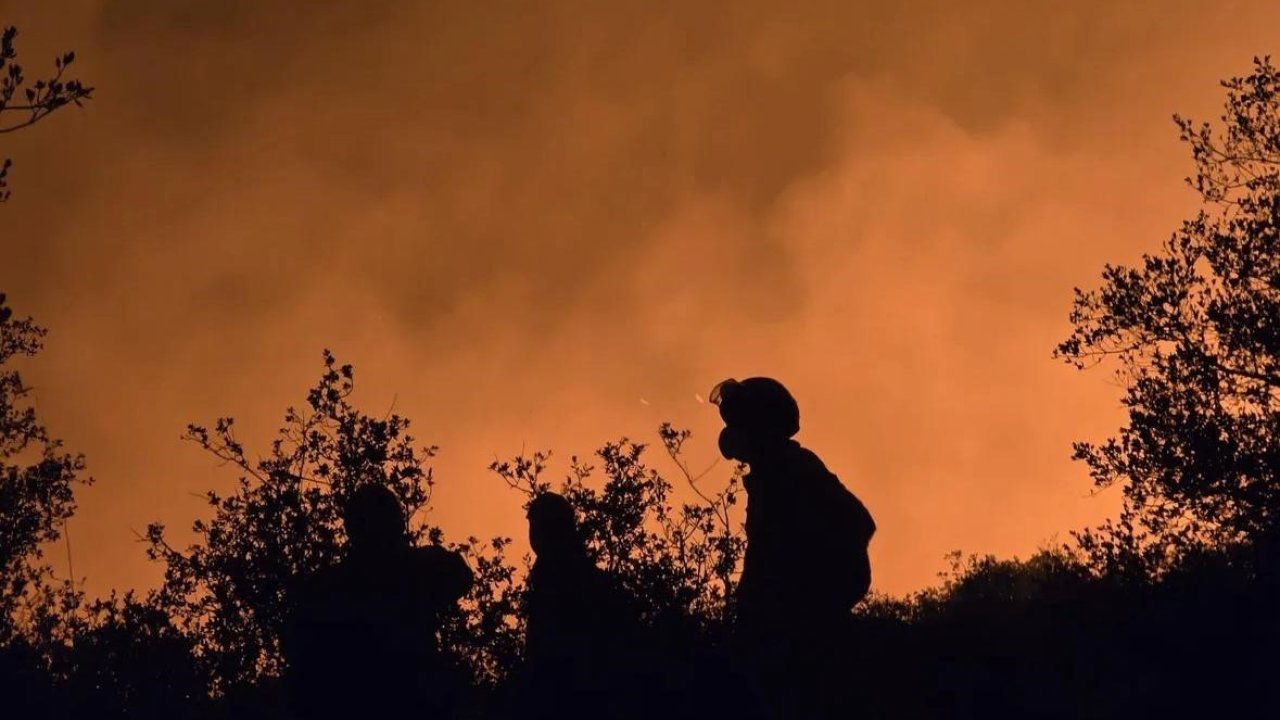 AKUT Eskişehir ekibi yanmak üzere olan hayvanları kurtardı