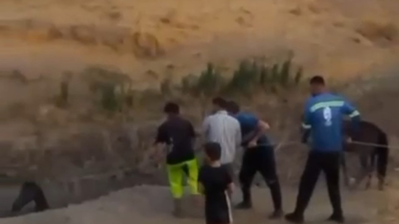 Çamura saplanan atı köylüler kurtardı